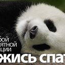 ���� ������, ���, 26 ��� - ��������� 28 ������ 2015 � ������ ������ ��������