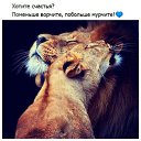���� Der�ka�, ������ - ��������� 25 ������� 2016 � ������ ������ ��������