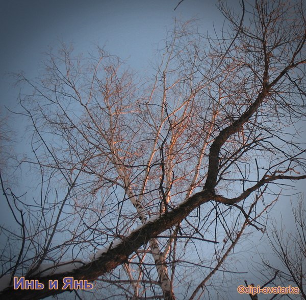 dipi-avatarka - 10  2016  19:39