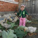 ���� ����, ������, 35 ��� - ��������� 30 ������ 2015 � ������ ���� ����������