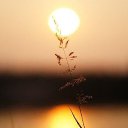 ���� Ya, ������ - ��������� 9 ������� 2015 � ������ ���� ����������