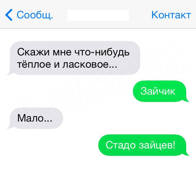 Веселые истории в переписке. Переписки что нибудь. Скажи что-нибудь ласковое и теплое. Смешные и удивительные диалоги.