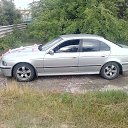 ���� ���������, ���������, 44 ���� - ��������� 15 ������� 2015 � ������ ���� ����������