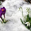 ���� �����, �����������, 60 ��� - ��������� 1 ����� 2016 � ������ ������ ��������