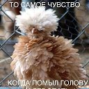 ���� �����, ������, 58 ��� - ��������� 19 ������� 2015 � ������ ������� ����