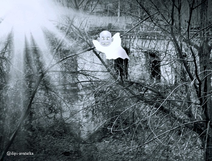 dipi-avatarka - 30 октября 2015 в 11:08