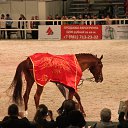 ���� ������, �����-���������, 70 ��� - ��������� 4 ������� 2015 � ������ ��� ������ �������� � �����-����������