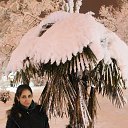 ���� ����, ������, 36 ��� - ��������� 2 ������ 2016 � ������ ���� ����������