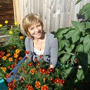 ���� �����, ��������� - ��������� 28 ������ 2016 � ������ ���� ����������