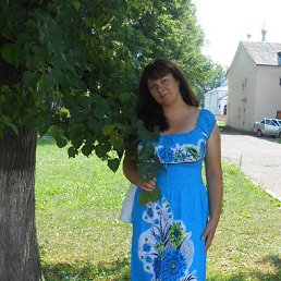 �����, ��������, 43 ����