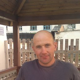 �������, ������, 49 ���