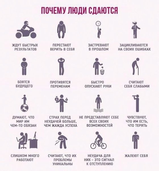 LIFE -  - 5  2015  14:58