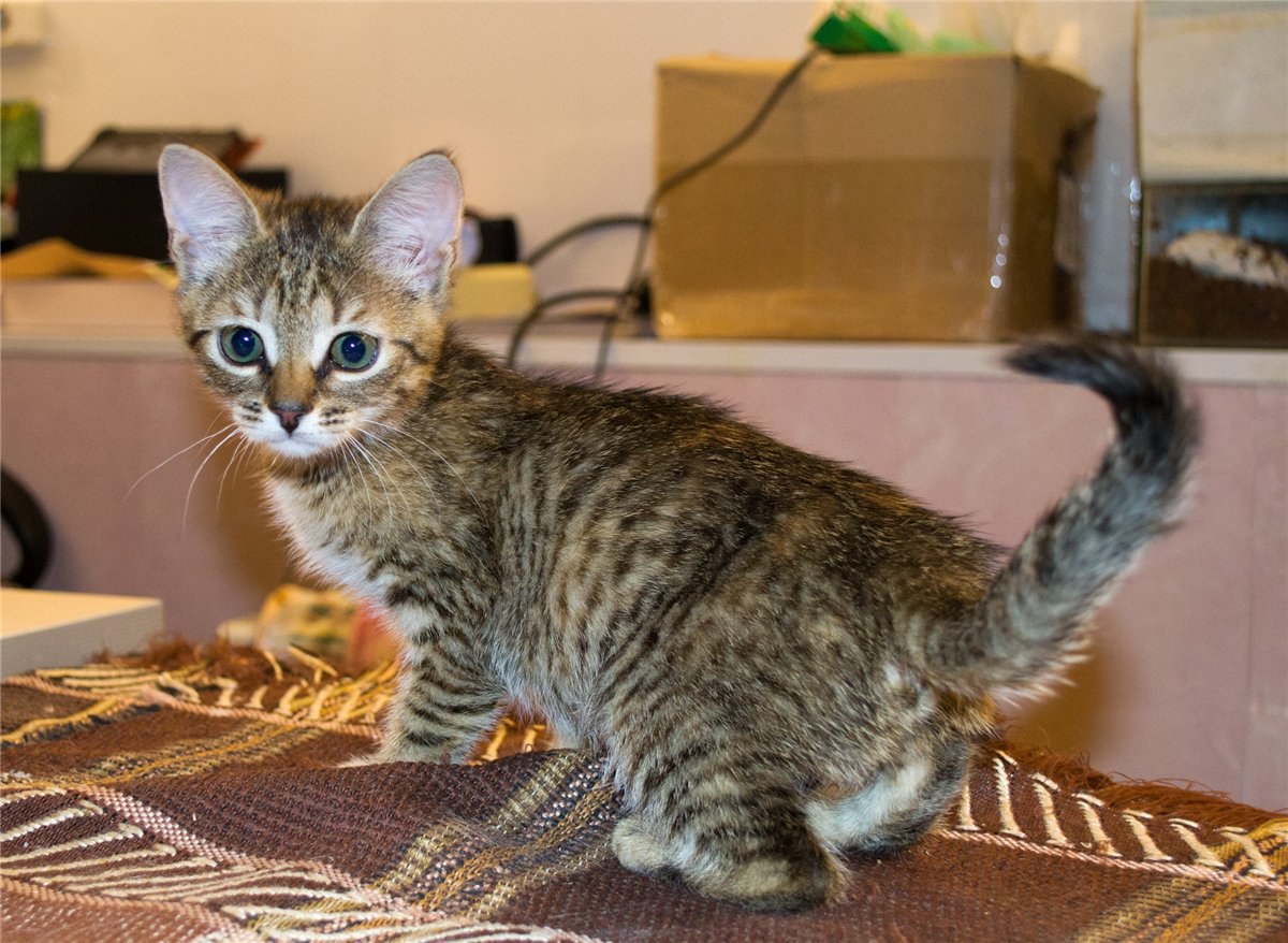 ��� � ��. �������� � ������� ���� ����� ����������� �� ��������, ������� � ������� ������� 2-� ...