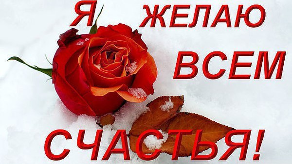 Что хочется узнать о человеке? Зачем спешим знакомиться в сети? Когда болит душа, не до аптеки И ...