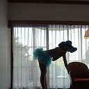 ���� Angel, ������������ - ��������� 31 ������� 2015 � ������ ������ ��������
