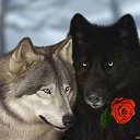 ���� ������, �����-���������, 46 ��� - ��������� 3 ������ 2016 � ������ ������ ��������