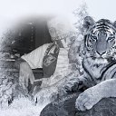 ���� �������, ������, 44 ���� - ��������� 1 ������� 2015