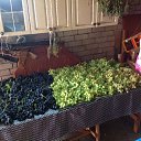 ���� �������, ���������� ����� - ��������� 1 ������� 2015 � ������ ���� ����������