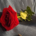 ���� �����, ������������, 50 ��� - ��������� 9 ������� 2015 � ������ ���� ����������