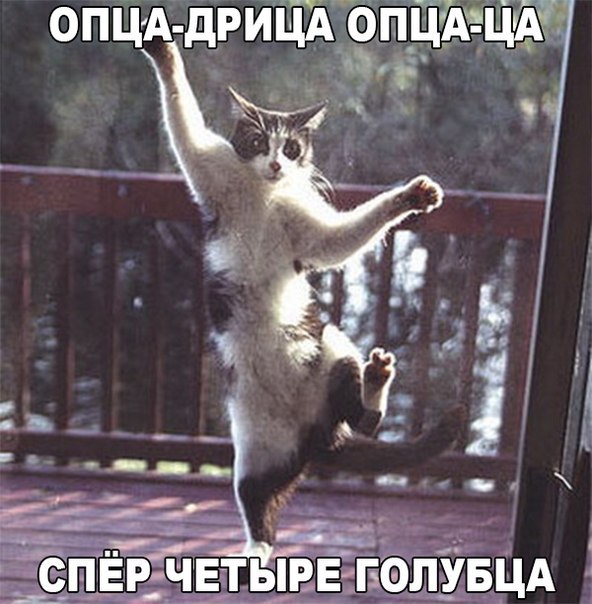    6 588 000 000000 000 000 000 000 .