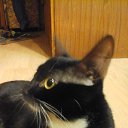 ���� ������, �����������, 55 ��� - ��������� 4 ������� 2015 � ������ ������ ��������