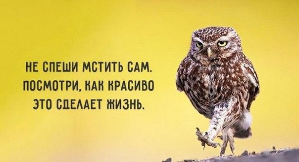 IQ Blog: , , ,  - 26  2016  22:30