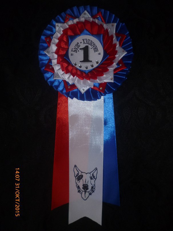 •°”*°• Наградные розетки •°*”°• https://fotostrana.ru/away?to=/sl/SDTЦеремонии награждения на выставках собак ...