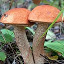 ���� Iluha, ���, 46 ��� - ��������� 2 ������� 2015