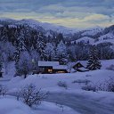 ���� �����, ������ - ��������� 11 ������ 2015 � ������ ��������� ������� �������