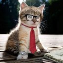 ���� �����, ���������, 59 ��� - ��������� 3 ������ 2015 � ������ ���