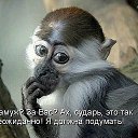 ���� �����, �������� - ��������� 14 ������ 2016 � ������ ���� ����������
