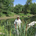 ���� �������, ��������, 65 ��� - ��������� 29 ������� 2015 � ������ ���� ����������