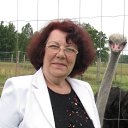  Lolita, , 68  -  19  2016    