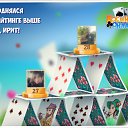 ���� �����, �������, 37 ��� - ��������� 7 ������� 2016 � ������ �������� �������-�������
