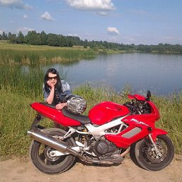 �������, ��������, 41 ���