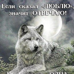 ���� �����, ����� �������, 40 ��� - ��������� 17 ������� 2015