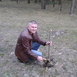 ���� ������, ������, 41 ��� - ��������� 9 ������� 2015