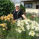 ���� ������, ������ - ��������� 14 ������� 2016 � ������ ���� ����������