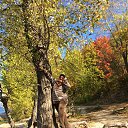 ����� - ��������� � �����������!!!! 2015. �� ������� ���� ����������