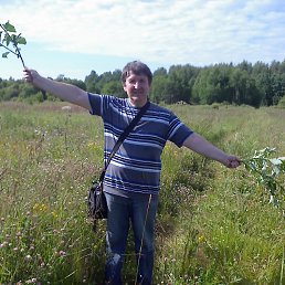 Sanches Qwerty, ���������, 63 ����