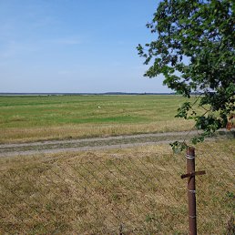 ���� ������, ������, 63 ���� - ��������� 7 ����� 2016