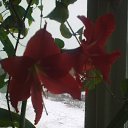 ���� �, ����, 47 ��� - ��������� 27 �������� 2015 � ������ ���� ����������