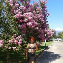 ���� �����, ������������ - ��������� 7 ������� 2016 � ������ ��������.�