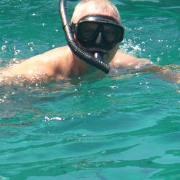 ������, �����������-��-�����, 48 ���