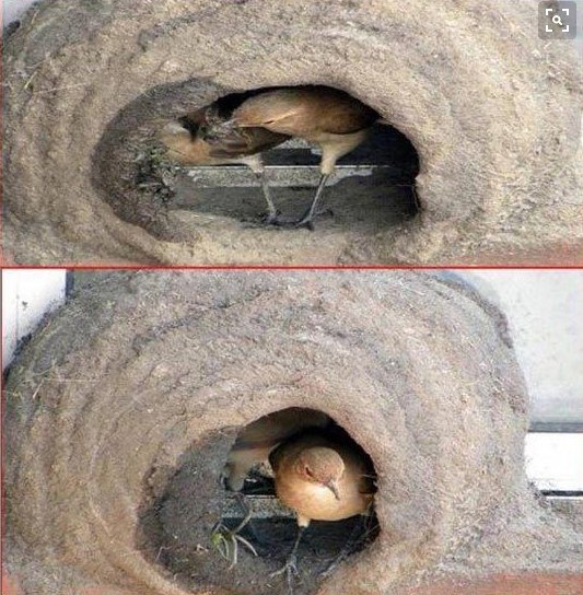   - 23  2015  23:02 - 11