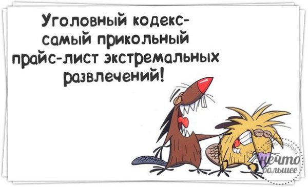 ��� ���� - 23 ������ 2015 � 16:00