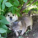 ���� ��������, ��������, 78 ��� - ��������� 8 ����� 2016