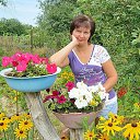 ���� �������, ������ - ��������� 30 ������� 2015 � ������ ���� ����������