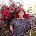 ���� ���������, ��������, 53 ���� - ��������� 8 ������� 2016 � ������ ���� ����������