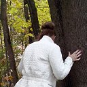 ���� ����, ������, 32 ���� - ��������� 27 ������� 2015 � ������ �2015�